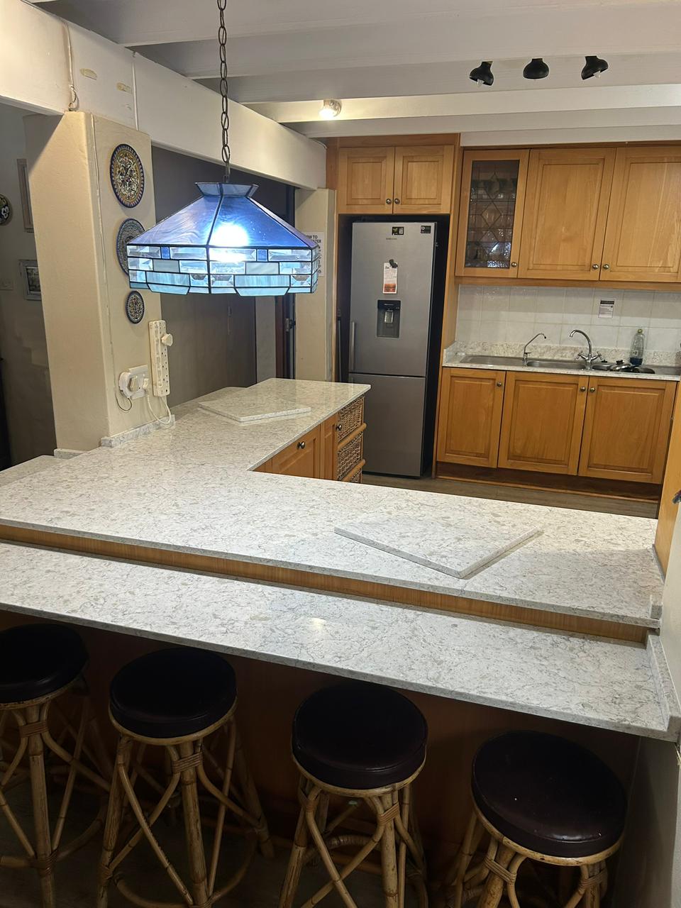 Modern Kitchen Remodeling